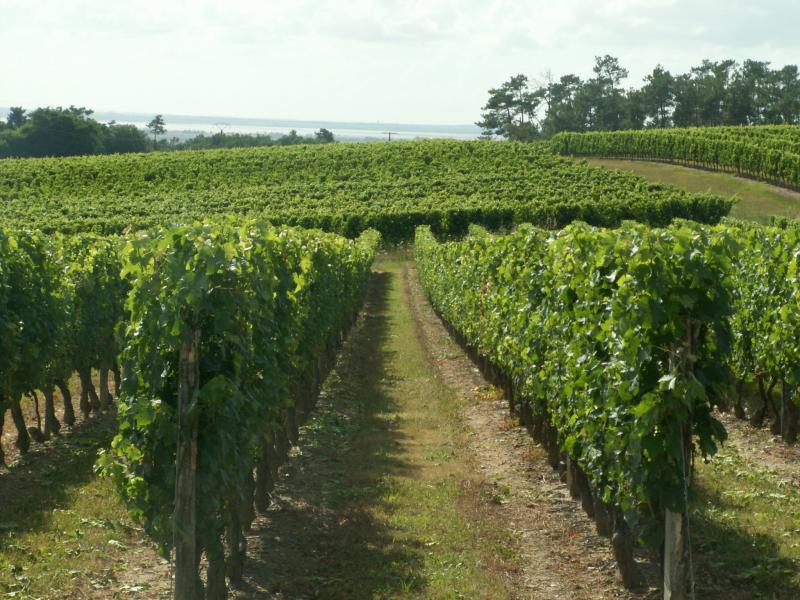 Gironde